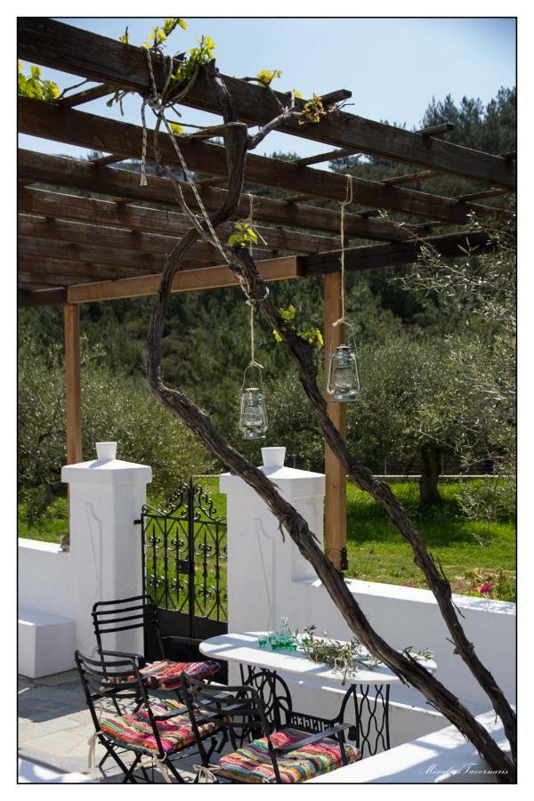 Villa Liodentro House Karpathos Exterior foto