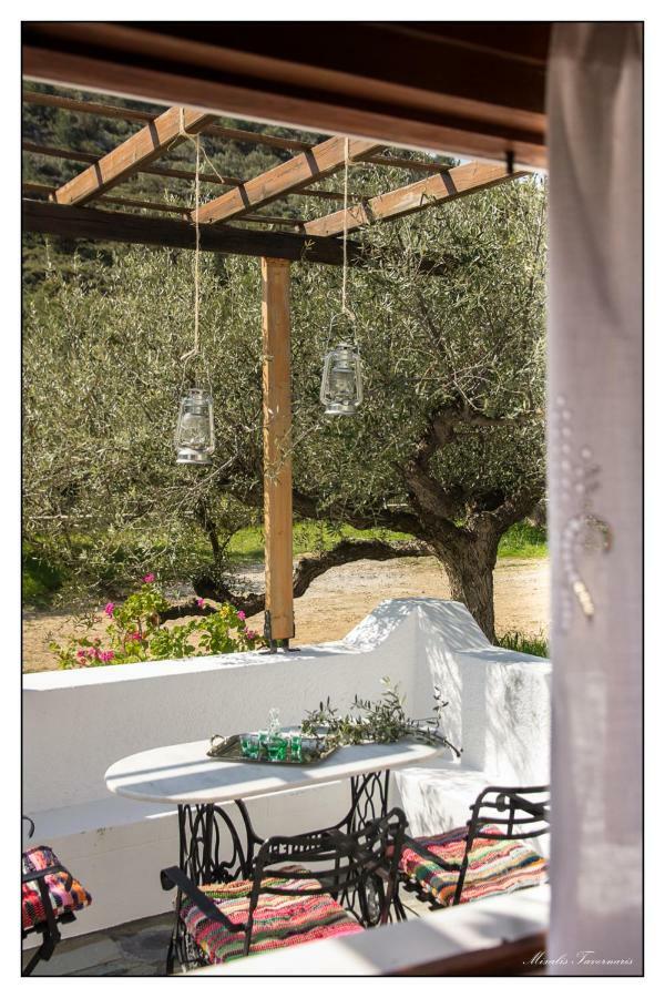 Villa Liodentro House Karpathos Exterior foto