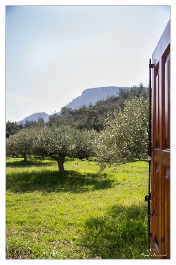 Villa Liodentro House Karpathos Exterior foto